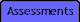 Self Assessments