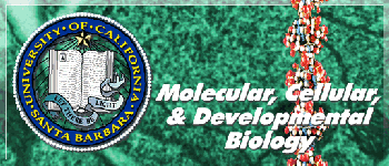 Molecular, Cellular, & Developmental Biology at UCSB